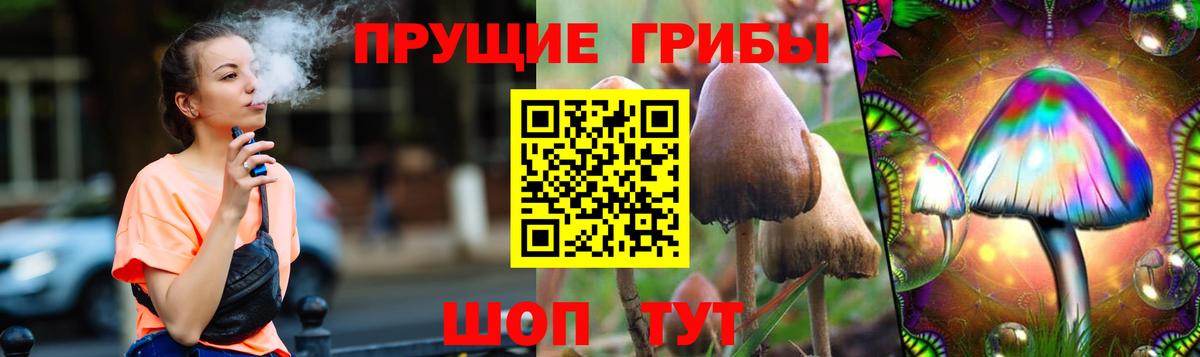 Павловский Посад  Псилоцибиновые грибы Cubensis  Вход с VPN 
